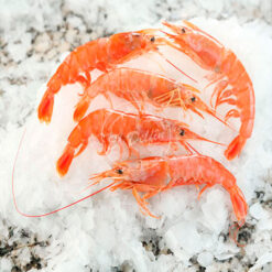 Langostino entero crudo-0