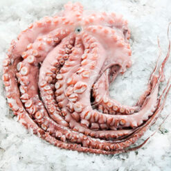 Pulpo español-0