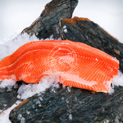 Filet de Salmón Rosado - 1 kg