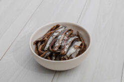 Lomo de Anchoitas en aceite