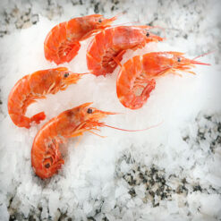 Langostino entero cocido -1253