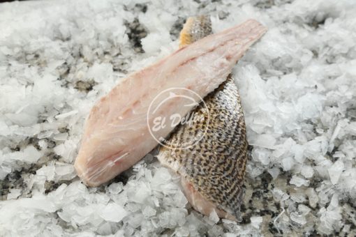 Filet de Corvina 