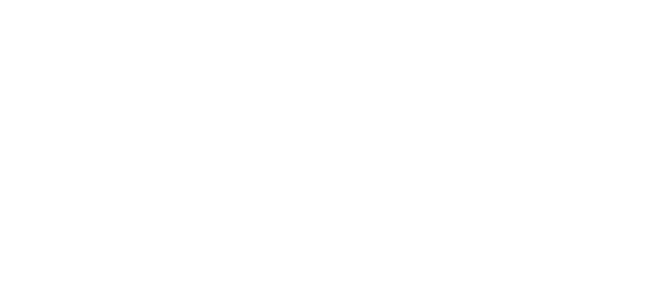 El Delfin