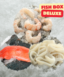 FISH BOX DELUXE
