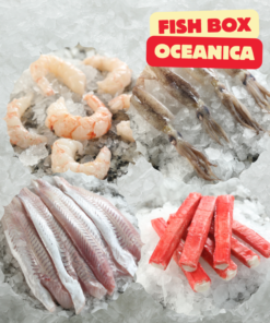 FISH BOX OCEANICA