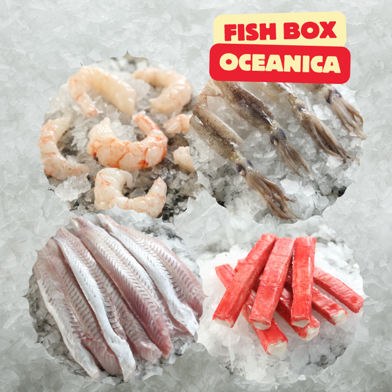 FISH BOX OCEANICA
