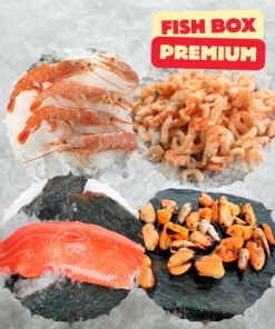 FISH BOX PREMIUM