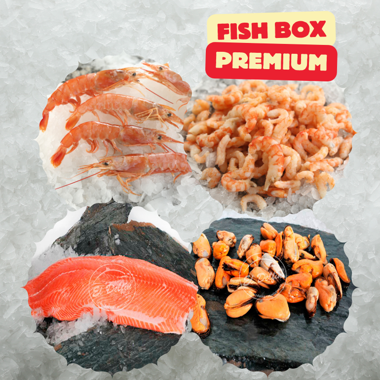 FISH BOX PREMIUM